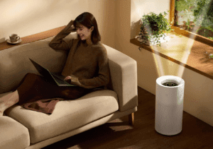 Screenshot 2024-11-20 at 13-00-25 Imgur The magic of the Internet