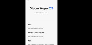 Screenshot 2024-12-16 at 08-23-10 Xiaomi MIX FLIP HyperOS 2 New Update rolled out for the beta testers 🇨🇳 Version OS2.0.5.0.VNICNXM
