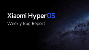 Hyoeros Bug Report