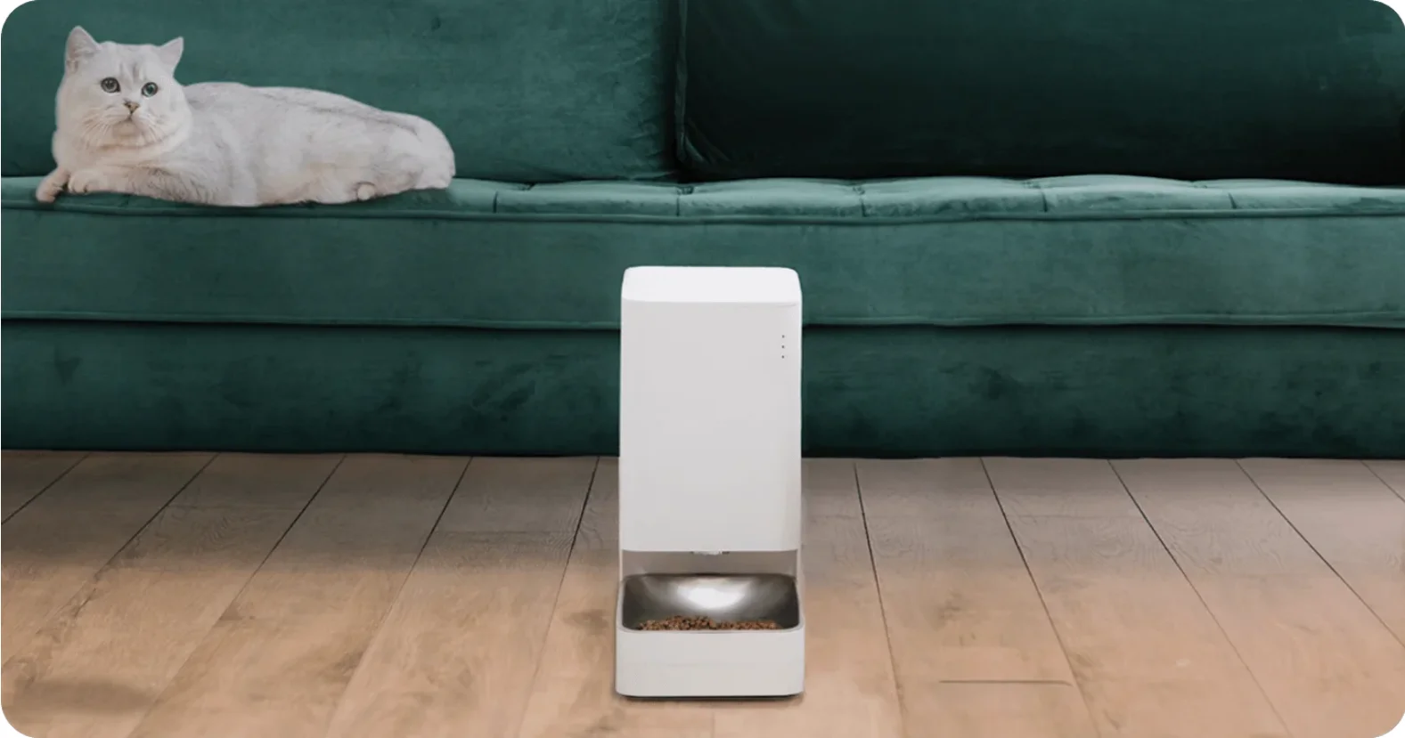 Xiaomi Haustierbedarf
