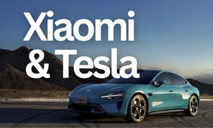 Xiaomi Tesla China Marktanteil Elektroautos - detail 1