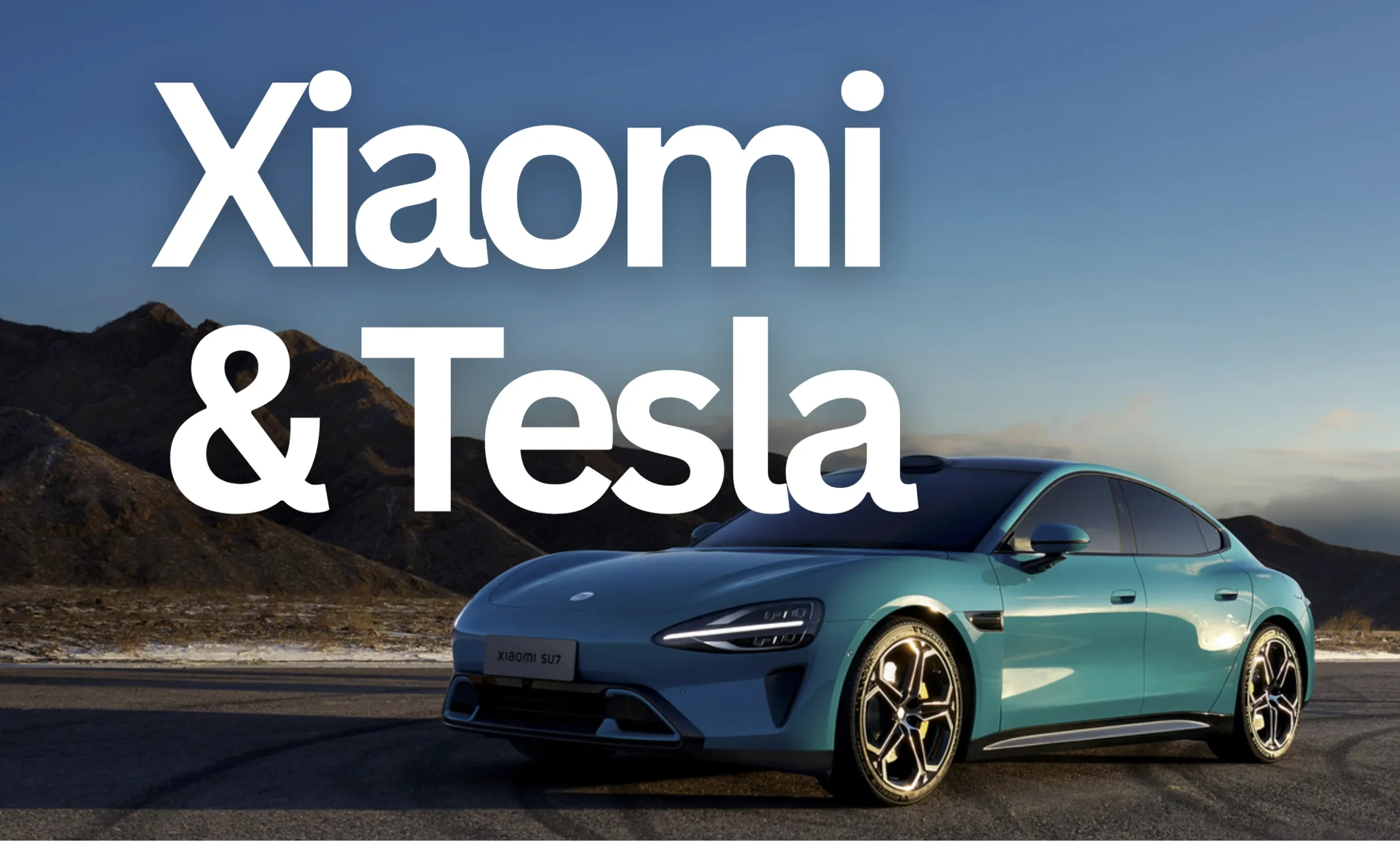 Xiaomi Tesla China Marktanteil Elektroautos